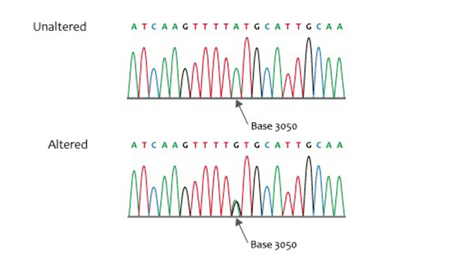 Missense gene sequence